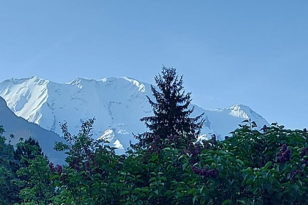 Appartement Dans Chalet - 75 M2 - 4 A 6 Personnes Saint-Gervais-les-Bains Extérieur photo