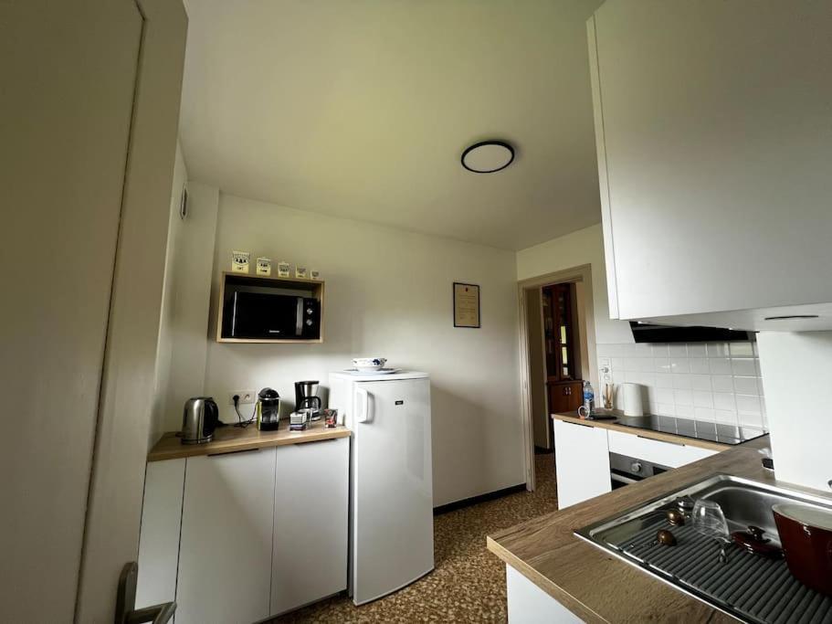 Appartement Dans Chalet - 75 M2 - 4 A 6 Personnes Saint-Gervais-les-Bains Extérieur photo