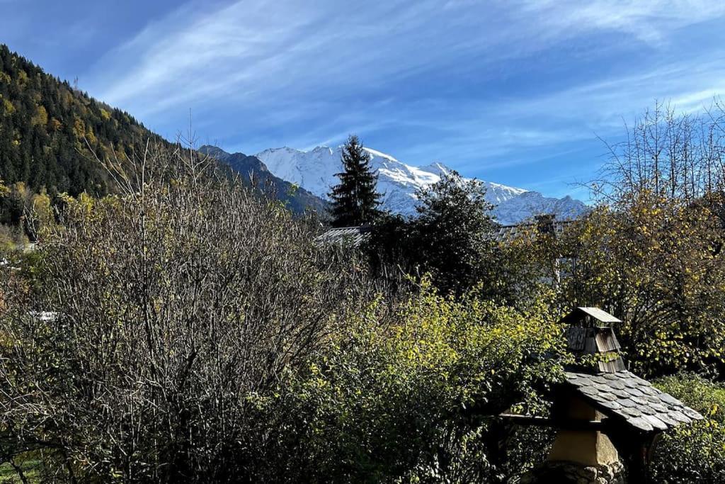 Appartement Dans Chalet - 75 M2 - 4 A 6 Personnes Saint-Gervais-les-Bains Extérieur photo